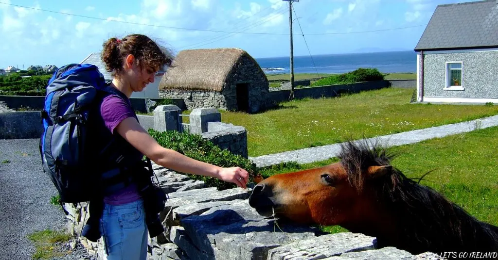 Ein Pferd füttern auf den Aran Islands