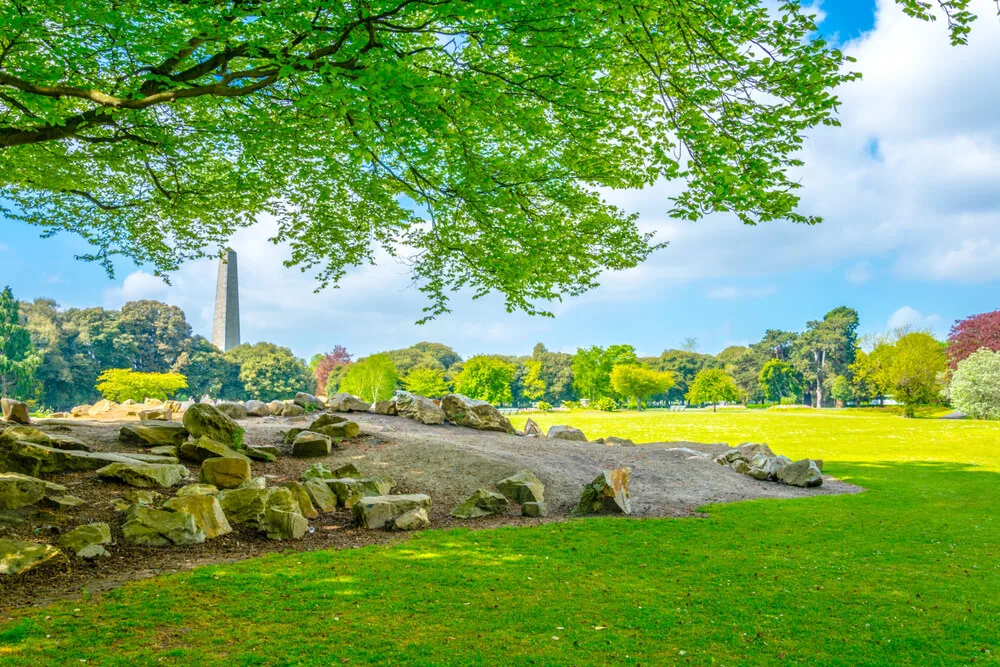 Phoenix Park in Dublin an einem sonnigen Tag