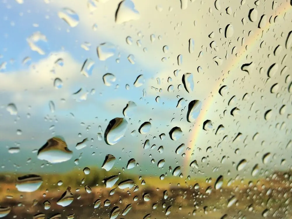 A rainbow on a rainy day. 
