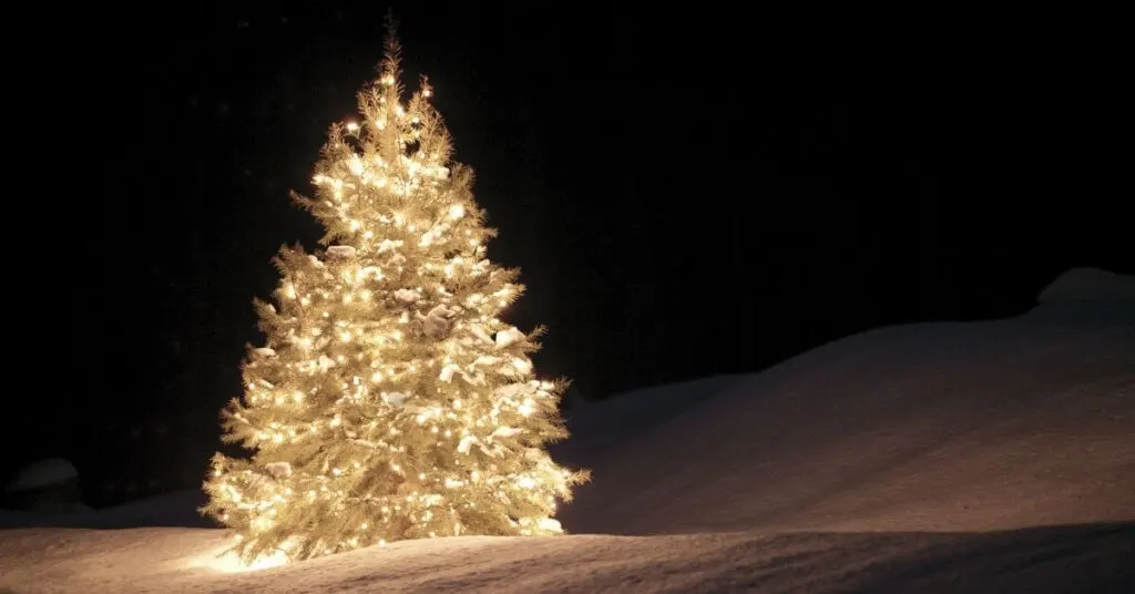 ein erleuchteter Weihnachtsbaum im Schnee im Dunkeln