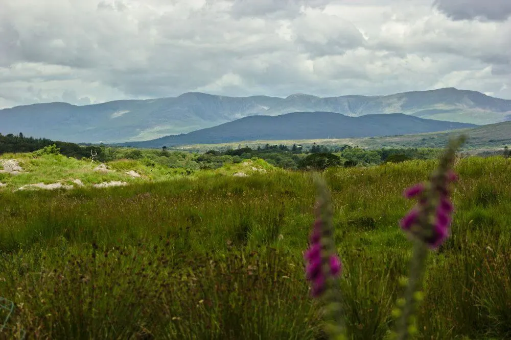 Rural landscape of Ireland.