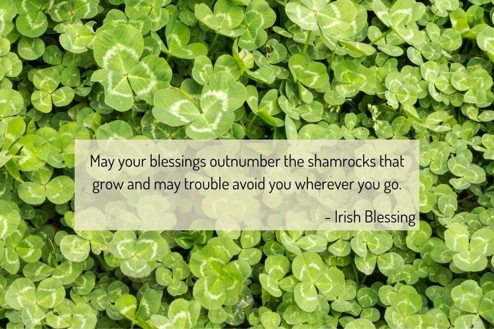 Shamrock with an Irish blessing