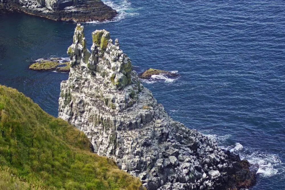 Many different seabirds including Puffins nest on the sea stacks and cliffs of Rathlin Island
