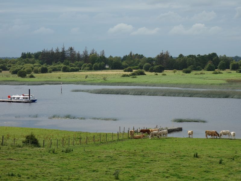 Sicht auf den Fluss Shannon bei Clonmacnoise an einem Sommertag