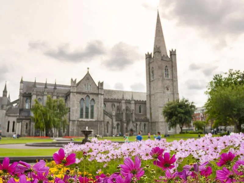 Blumenbeet bei der St. Patrick's Cathedral in Dublin