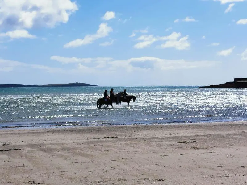 Gelegentlich reiten Menschen auf Pferden am Strand. 