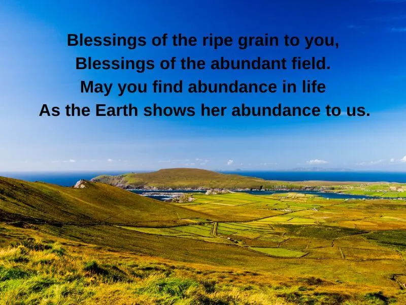 Forty shades of green seen in the fields of Kerry, with a Lughnasadh blessing for abundance. 