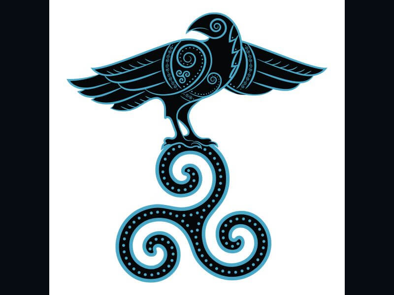 Celtic raven with Celtic spirals and Celtic symbols design. 
