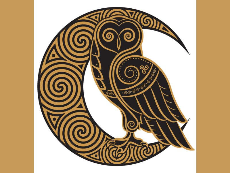 A Celtic Owl design featuring a crescent moon.