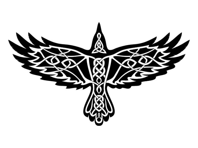 Ein keltisches Raben-Tattoo mit keltischem Knotenwerk.