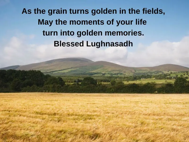 A Lughnasadh Blessing set against a golden field in Ireland. 
