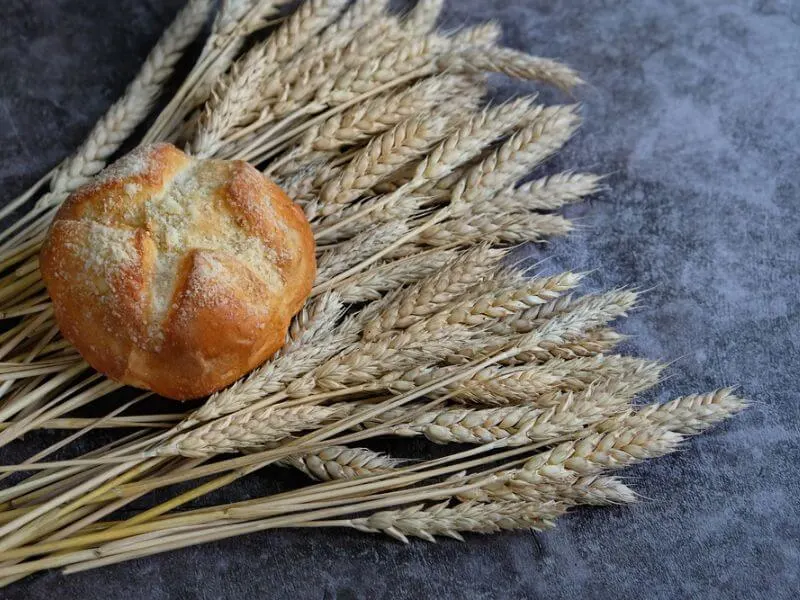 Weizenkörner und Brot sind feste Bestandteile von Lughnasadh