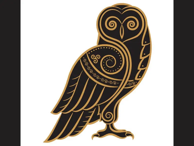 An example of a Celtic Owl design.