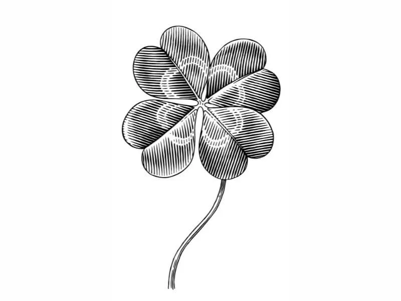 Sketch design of a 4 leaf clover. 