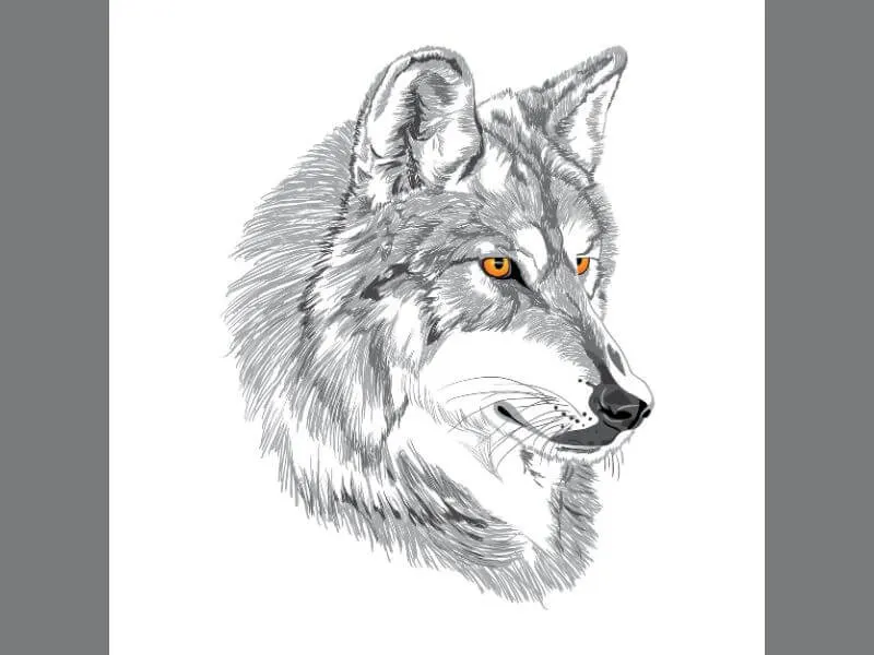 Traditionelles Wolfs-Tattoo-Design. 