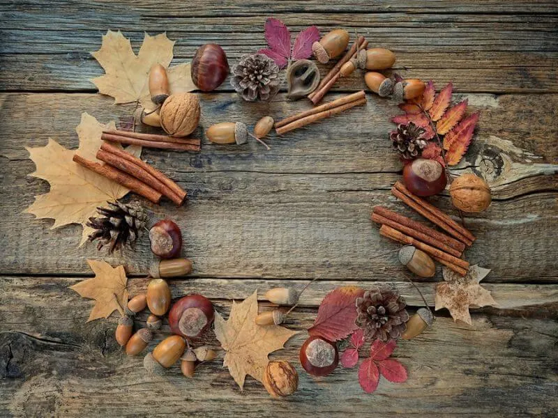Wreath of leaves and nuts. 