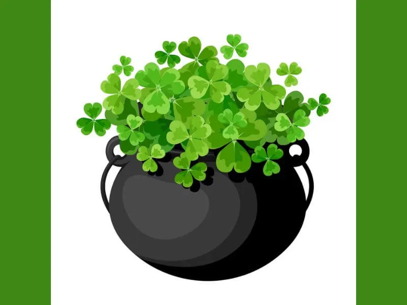 The US President gets a fancier pot of shamrocks than this one! 