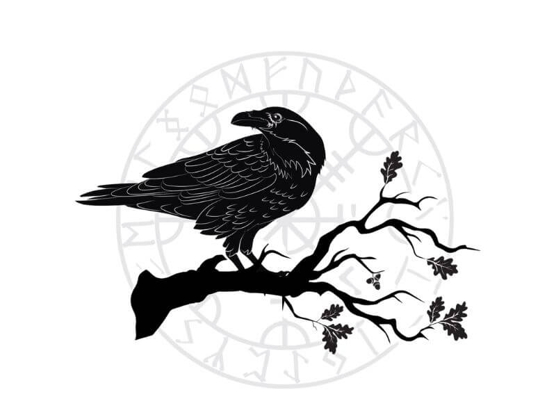 A crow on an oak branch with Scandanavian Runes behind it. 