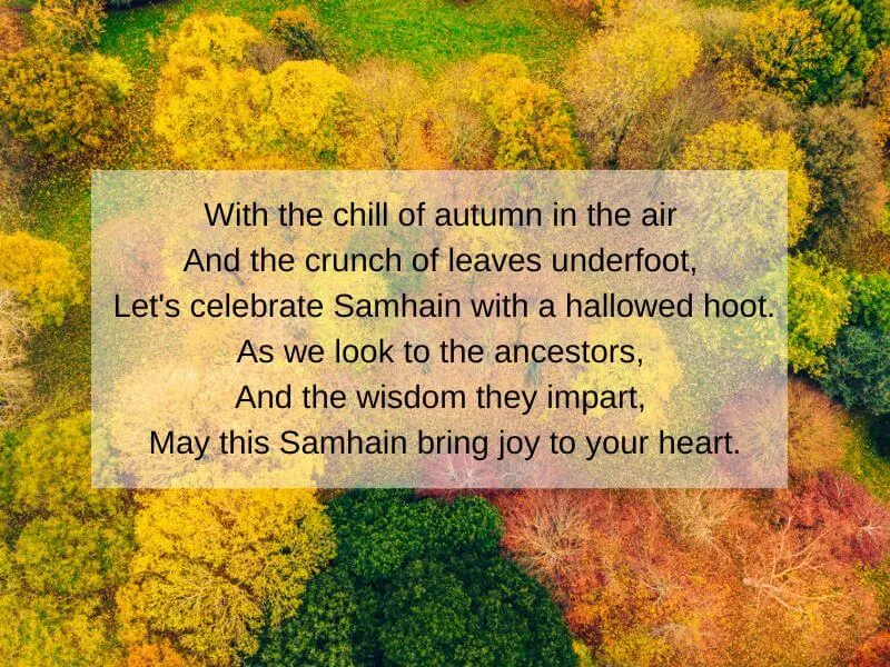 Autumn trees in Dublin with a blessing text