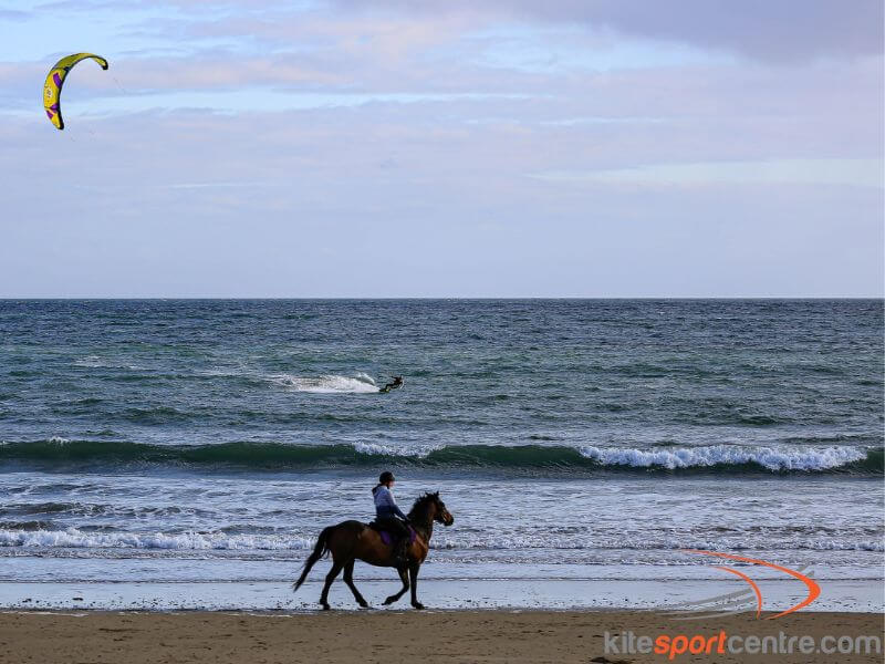 A kite surfer and a woman horse riding. 