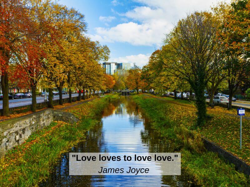 A James Joyce Love Quote with an image of the Grand Canal Dublin. 
