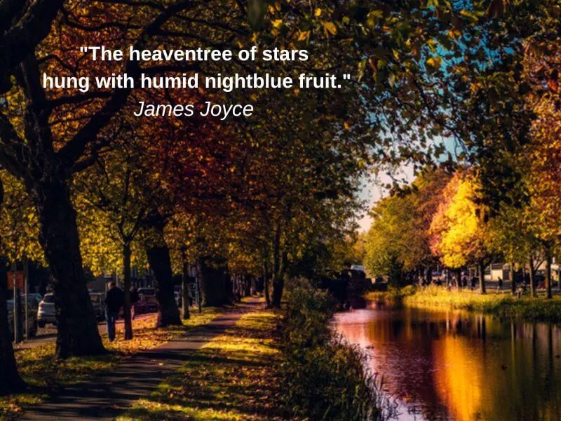 The tree-lined Canal in Dublin with James Joyce quote.