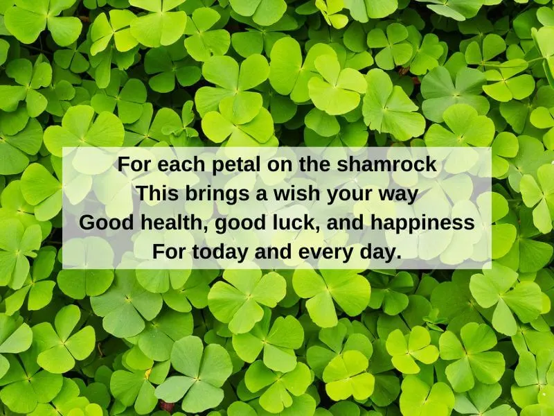 Irish words of good luck with shamrock background.